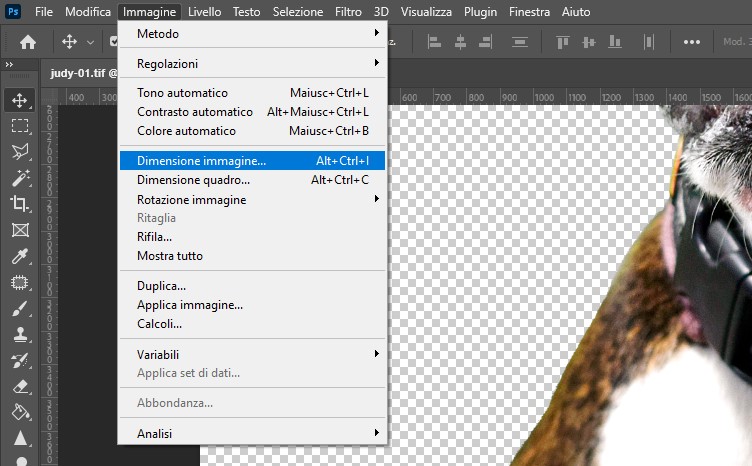 How to resize an image in Photoshop without losing quality Oppaca